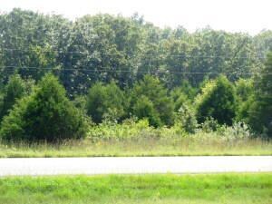 Highway 60 View