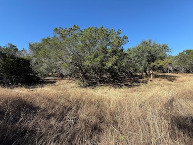 610 Leroy Rd, Kerrville, TX 78028 - photo 6