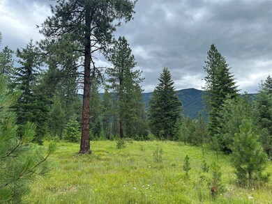 Nhn Sapphire Ln W unit Lot 10, Trout Creek, MT 59874 - photo 3