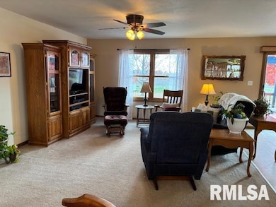 710 W Dean St, Virden, IL 62690 - photo 4
