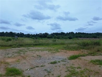 144 Arrington Farm Ln, Statesville, NC 28625 - photo 4