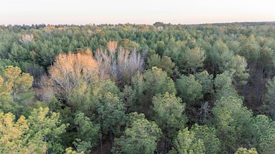 Tbd Barr Chapel Rd, Edgefield, SC 29824 - photo 3