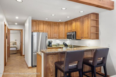 610 S West End St unit D-303, Aspen, CO 81611 - photo 6