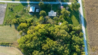 10970 Cordum Ave, Gillespie, IL 62033 - photo 7