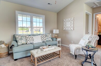 246 Sweet Gum Ln Richlands NC-large-005-