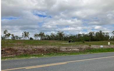 TBD, Live Oak, FL 32060 - photo 2