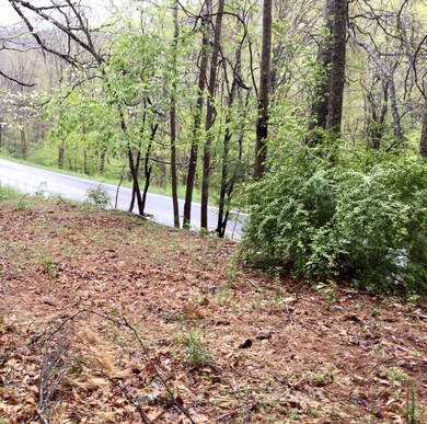 12949 Cass Rd, Cass, WV 24927 - photo 3