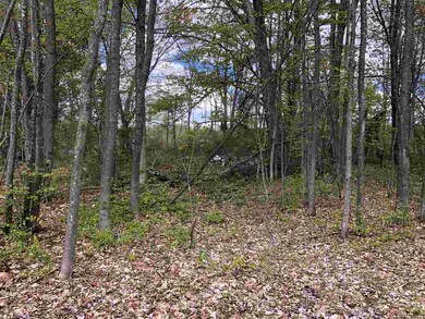 314 Dover Rd, Chichester, NH 03258 - photo 3