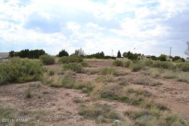Tanner Lane 018
