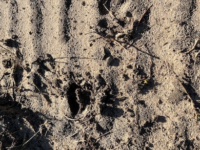 Bhl 2 Boise Cascade Rd, Bethune, SC 29009 - photo 7