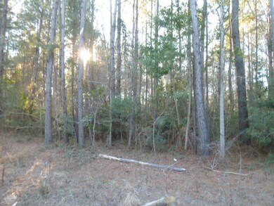 0 Rosa Green Road, Awendaw 29429