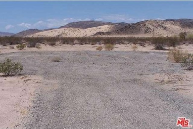 5316 Pearl Springs Ave, Twentynine Palms, CA 92277 - photo 6