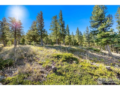 323 Roxbury Dr, Boulder, CO 80302 - photo 7