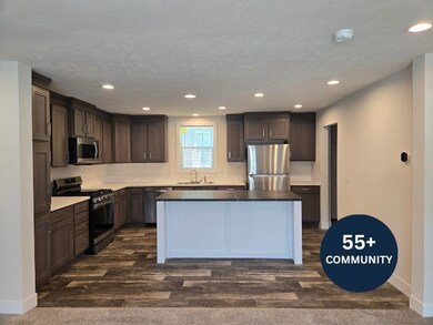 1133 Yeomans St unit 129, Ionia, MI 48846 - photo 2