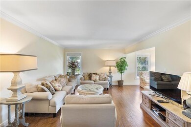 Living room with dark wood-type flooring, ornament