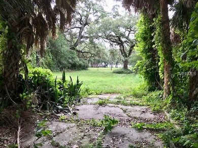 Middle of lot looking back towards Corrine street