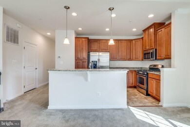 24592 Johnson Oak Terrace, Sterling, VA 20166 - photo 5