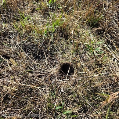 Tract 4 E 1290 Rd, McCurtain, OK 74944 - photo 5