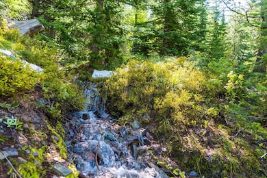 0 Griffin Creek Rd, Marion, MT 59925 - photo 2