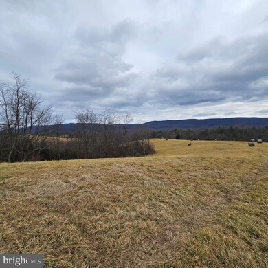 0 Red Berry Rd, Mathias, WV 26812 - photo 2