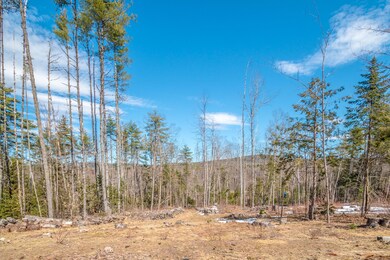 1015 Stow Rd, Stow, ME 04037 - photo 2