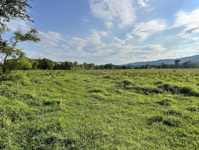 0 Old State Highway 28 unit RTC2929823, Pikeville, TN 37367 - photo 6