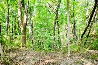 0 N 400 W unit 202003673, West Lafayette, IN 47906 - photo 2