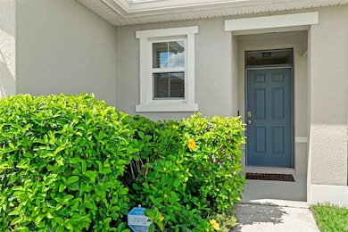 16163 Silent Sands Ln, Odessa, FL 33556 - photo 5