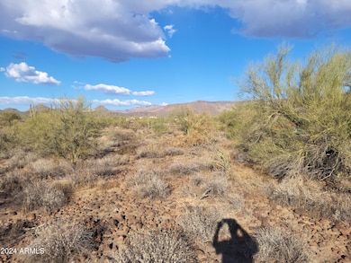 48111 N 7th Ave, New River, AZ 85087 - photo 6