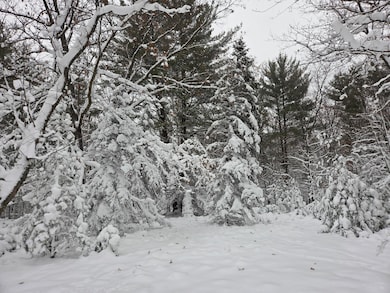 V/L Abermanis Trail, Luther, MI 49656 - photo 4