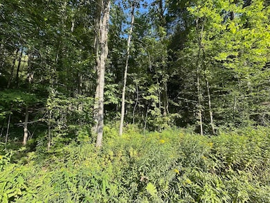 90 Old Swanzey Rd, Winchester, NH 03470 - photo 4