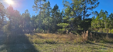 915 NE 6th St, Carrabelle, FL 32322 - photo 2