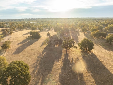 17720 Bowman Rd, Cottonwood, CA 96022 - photo 6