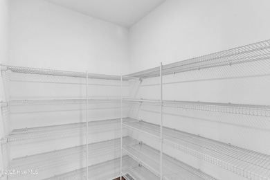 13_3163 painted turtle lp-00013