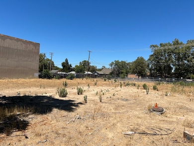 311 Mitchell Ave, Turlock, CA 95380 - photo 2