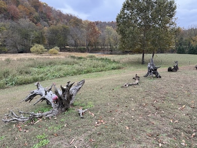 145 Big Buffalo Estates Cir, Linden, TN 37096 - photo 3