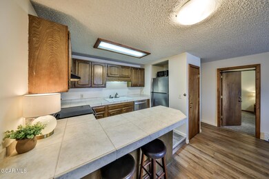 319 Gcr 804 unit F203, Fraser, CO 80442 - photo 2