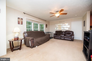 7311 Greenwood Ln, Rapidan, VA 22733 - photo 7