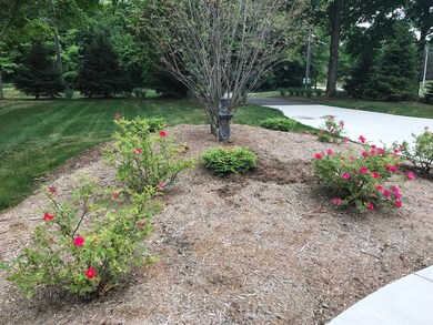 Landscaping 1