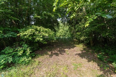 Lot 6 W Point Trail, Amor Township, MN 56515 - photo 5