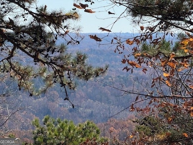 0 John Call Rd unit 10646302, Talking Rock, GA 30175 - photo 5