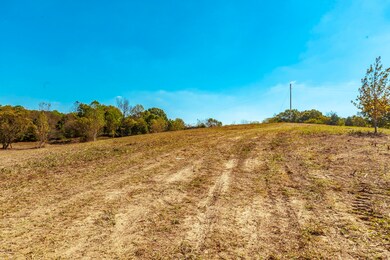 3 Rock Bridge Rd, Bethpage, TN 37022 - photo 6