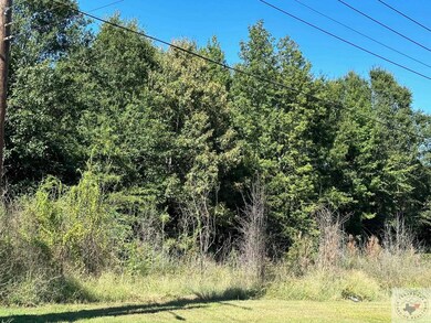 3001 Bender Rd, Texarkana, TX 75501 - photo 4