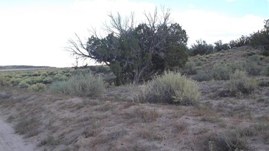 DSCF4033