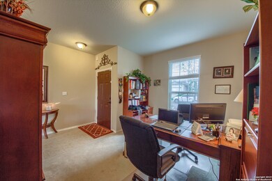 24258 Invitation Oak, San Antonio, TX 78261 - photo 5