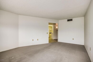 Loma Blamca - 10102 (12)