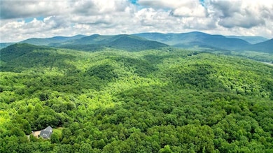 47 AC Pine Crest Rd, Jasper, GA 30143 - photo 3