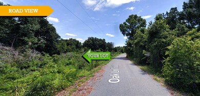 0 Oak Lane Dr unit 25620238, Ocala, FL 34472 - photo 3