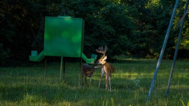 1577 County Road 431, Tennessee Colony, TX 75861 - photo 6