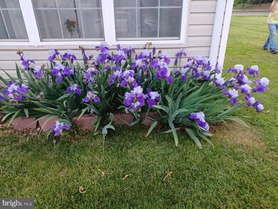 101 Canvasback Way, Cambridge, MD 21613 - photo 7